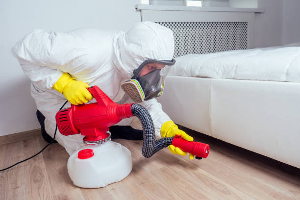 Best Local Pest Control Services  in Rainier, OR