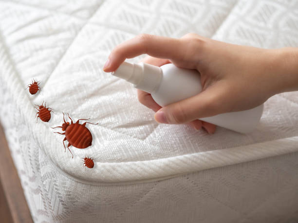 Best Best Pest Control Companies  in Rainier, OR