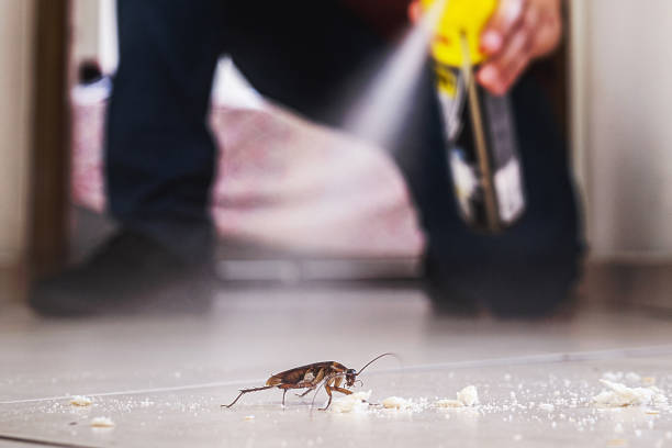 Trusted Rainier, OR Pest Control Experts